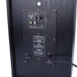 اسپیکر ایستاده ونوس PV500 با ریموت کنترل - Image 5
